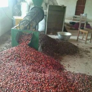 Palm Kernel Cracker